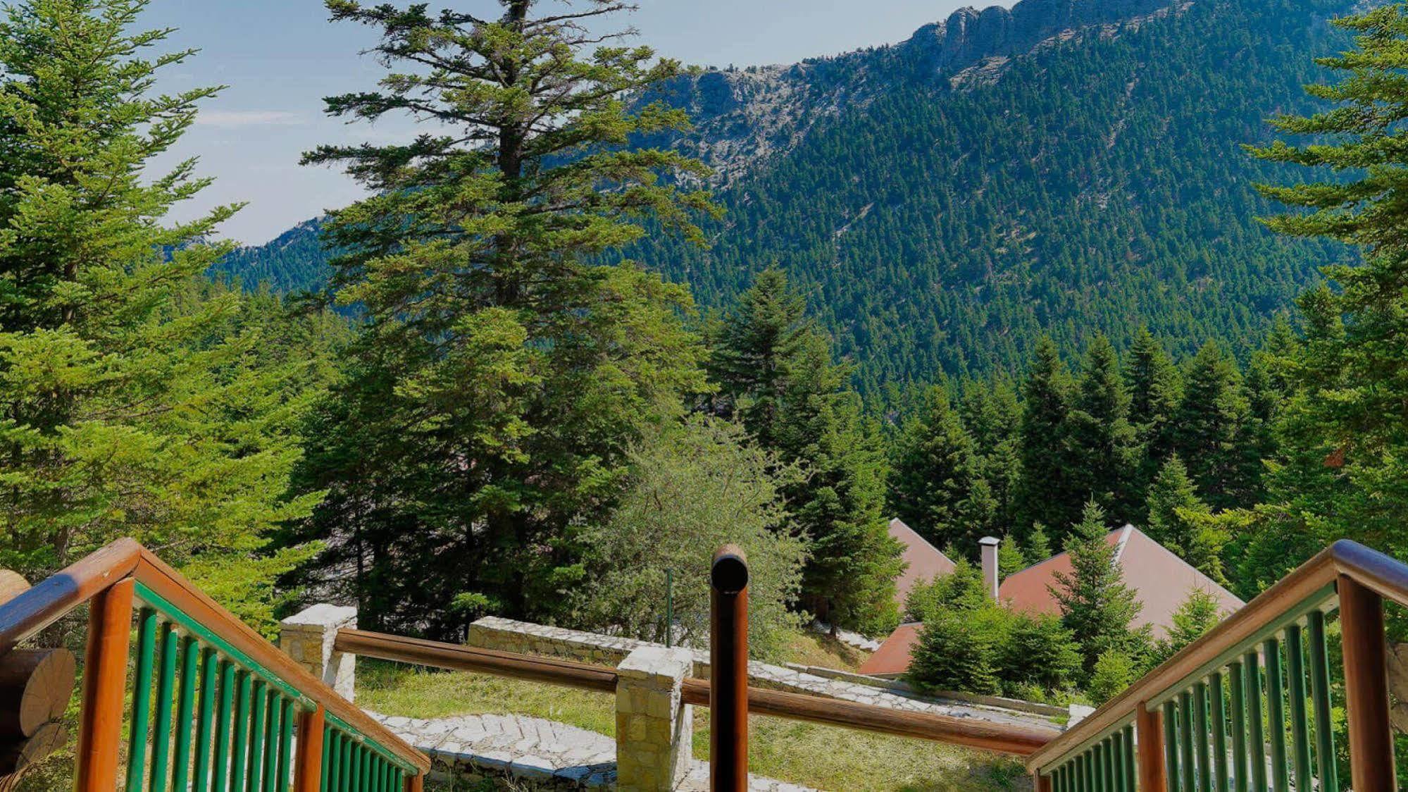 Elatos Resort & Health Club Eptálofos エクステリア 写真